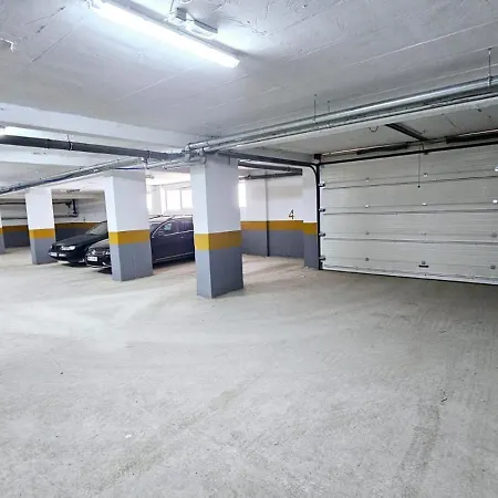 Rikikiki * נובי פאזאר